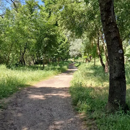 Casa Do Tamega - Inteiro * 查韦斯