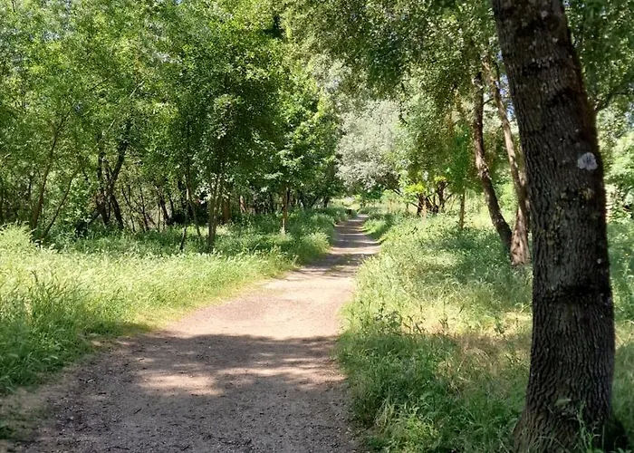 Casa Do Tamega - Inteiro * Chaves